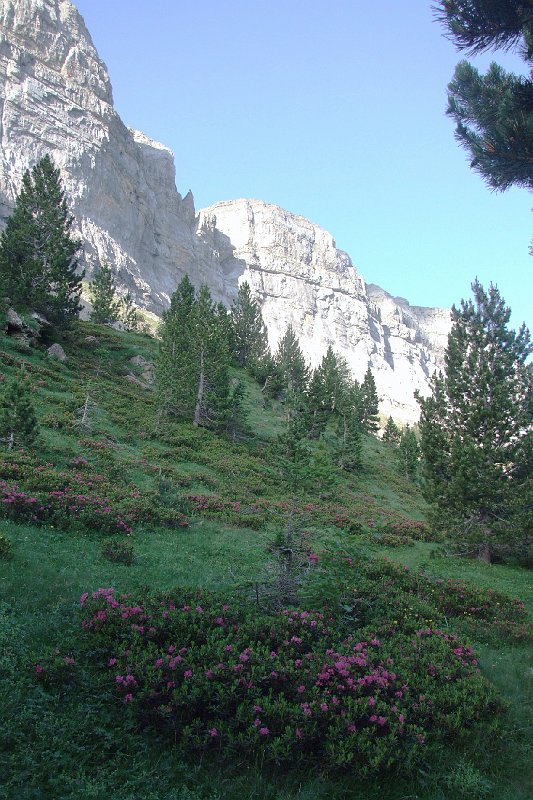 2008-07-11,08-30-47,canyon d'Ordesa.jpg